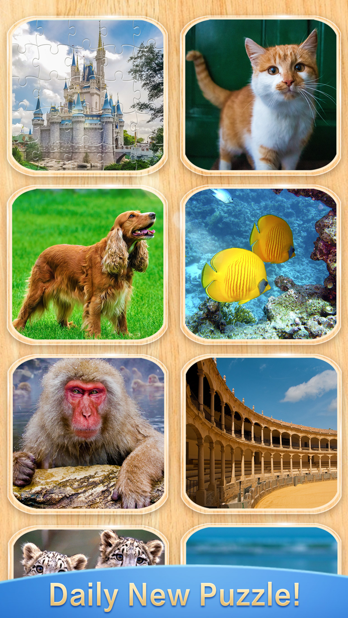 Jigsaw Puzzles - Happy Puzzler