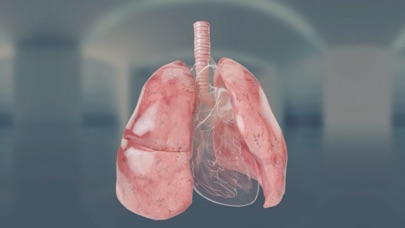 Virtual Reality Human Body! Screenshot