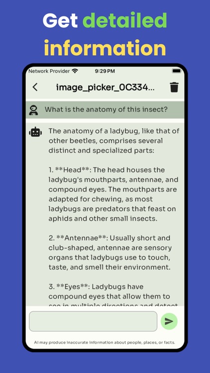 Bug identifier by picture