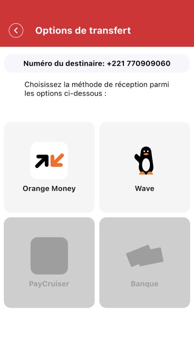 IPRES PAY(By PayCruiser) Screenshot