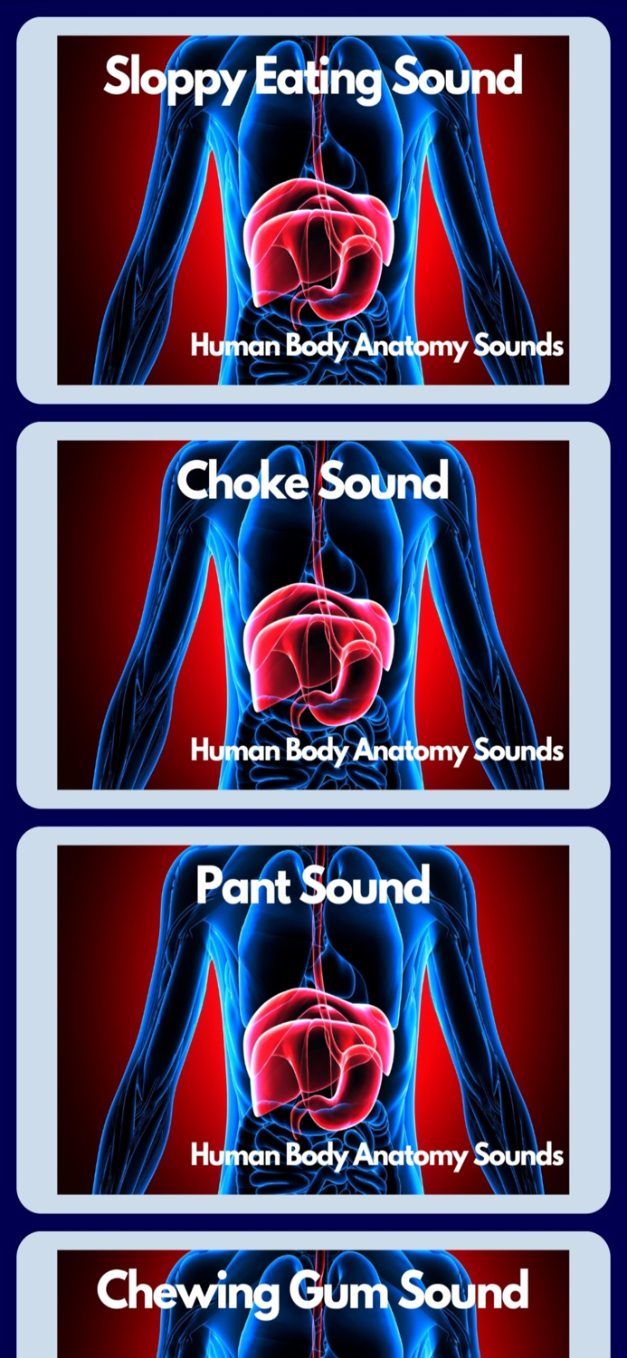 Human Body Anatomy Sounds