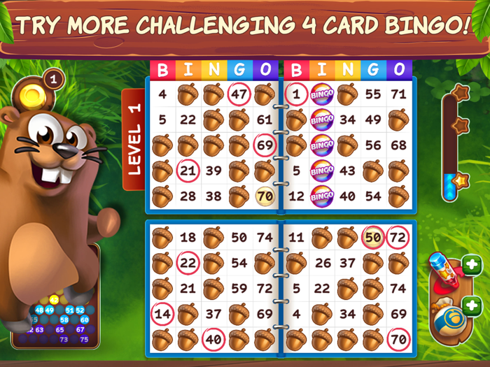 Bingo Beavers