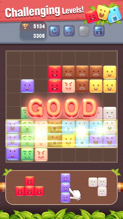 BT Block Puzzle - Brain Game screenshot-4