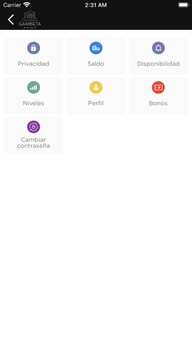 Ciudad Deportiva Gambeta Screenshot