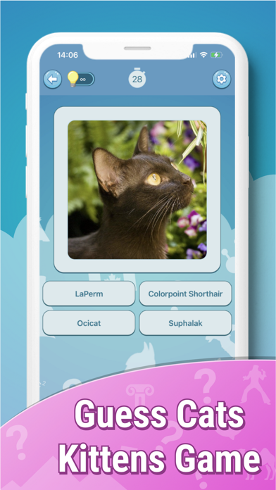 Quiz guess all cute cat breeds Screenshot