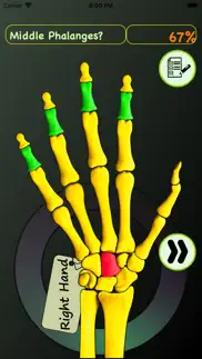 hand bones: speed anatomy quiz problems & solutions and troubleshooting guide - 4