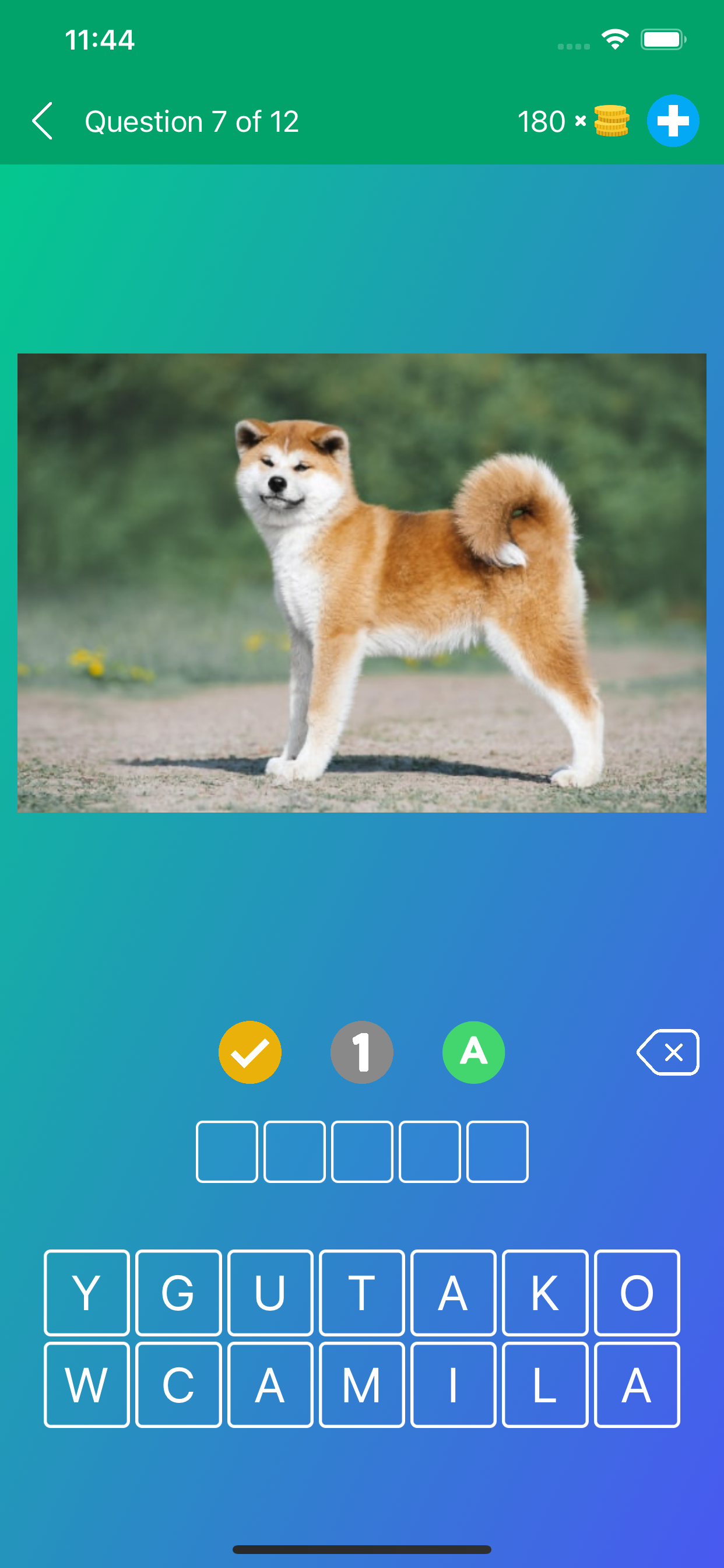 Dog Breeds Quiz: Guess the Pet