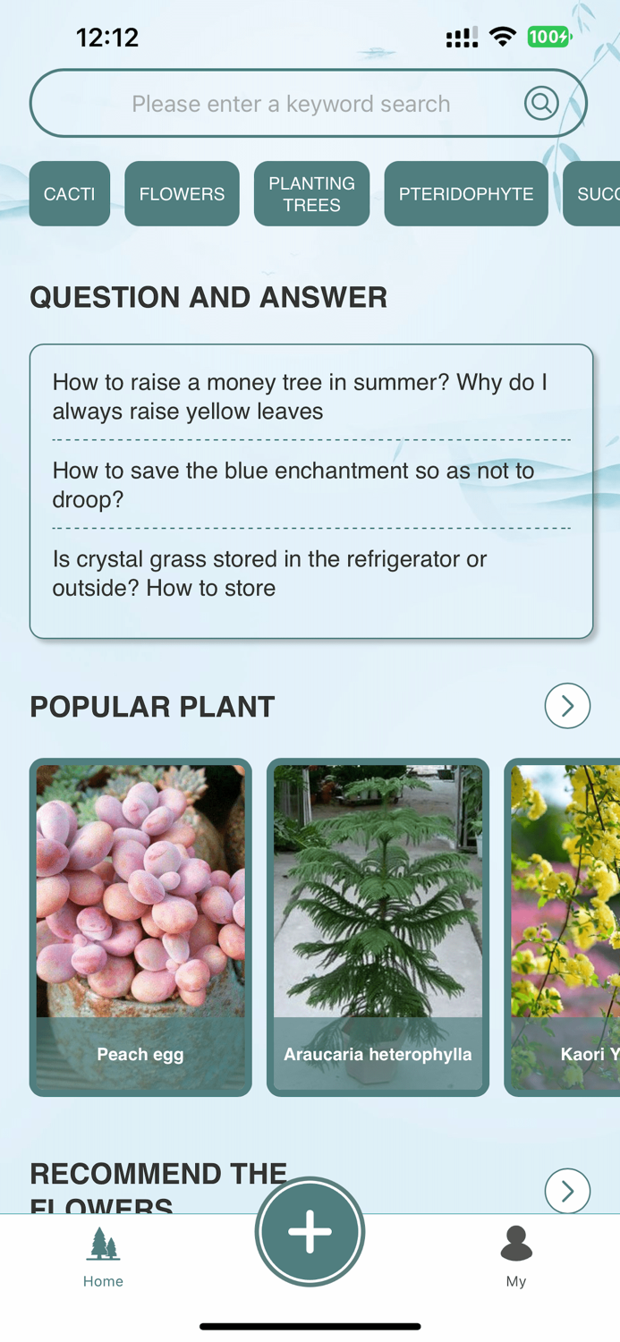 BMG - Blue Mist Garden