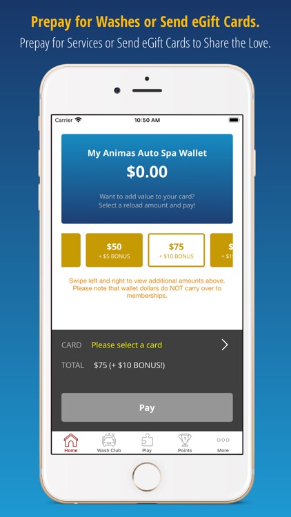 Animas Auto Spa screenshot-3