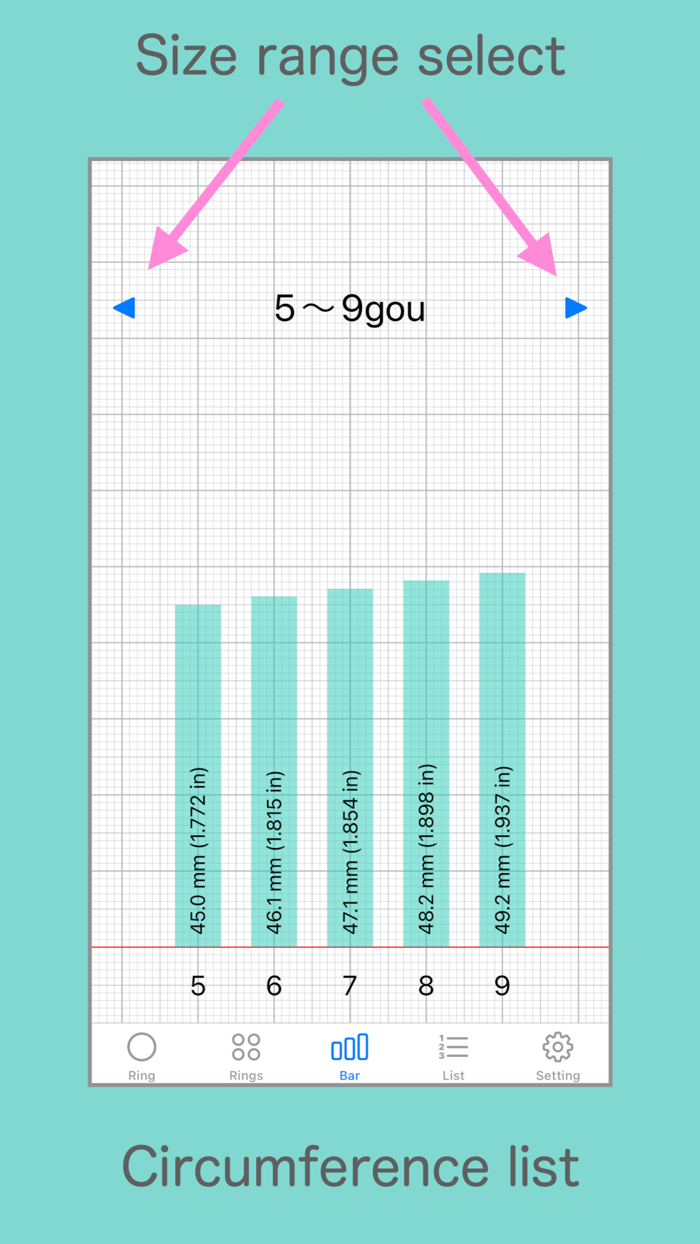 Ring Sizer for Japan