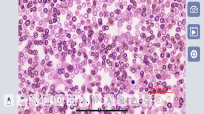 Screenshot 3 of SunnyScope App