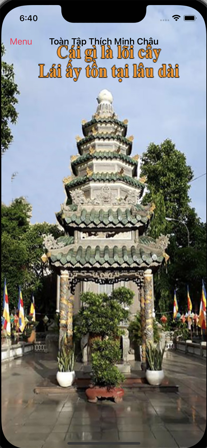 Toan Tap Thich Minh Chau