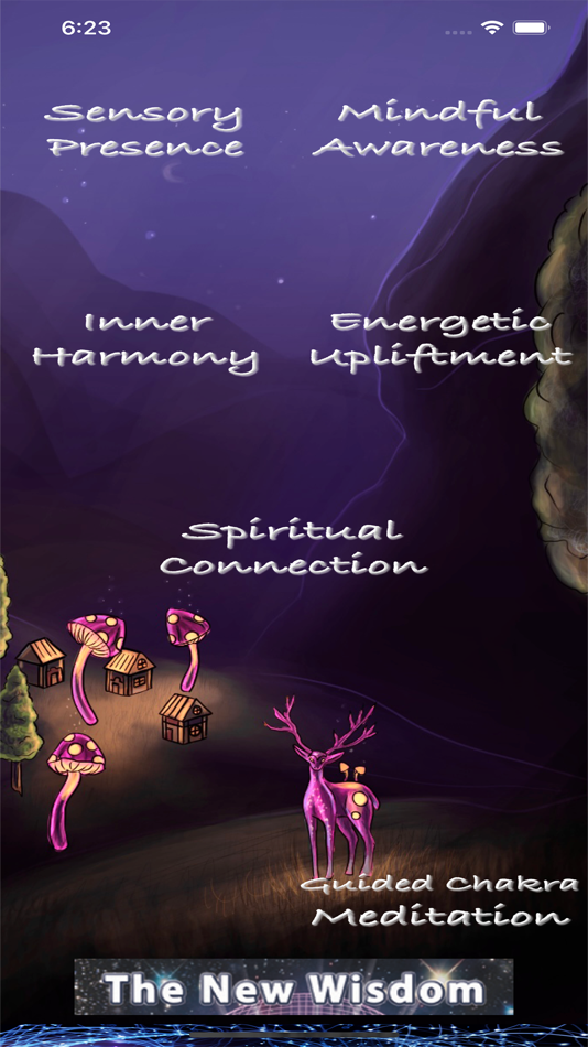 Meditation Master - 1.4 - (iOS)