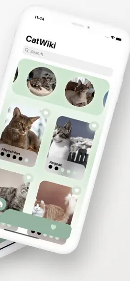 Game screenshot CatWiki apk