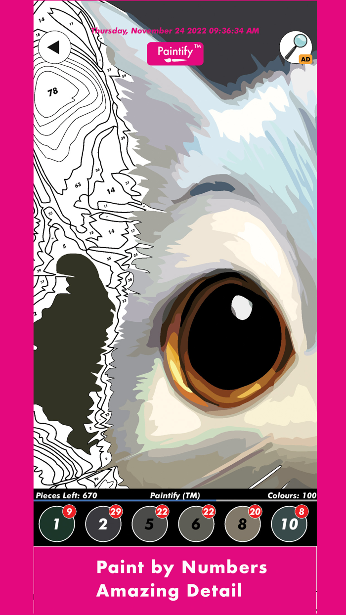 Paintify Colouring Fun