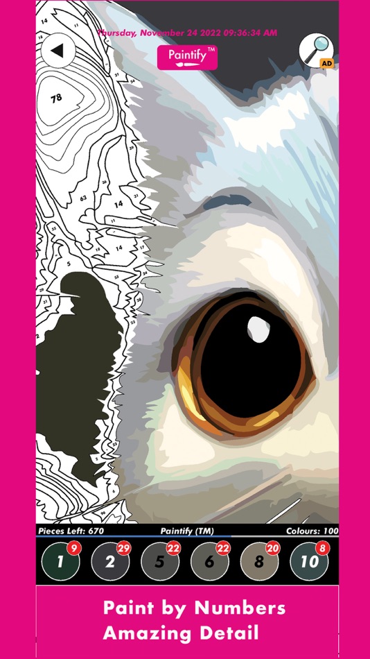 #1. Paintify: Colouring Fun (iOS) 由: david filbee