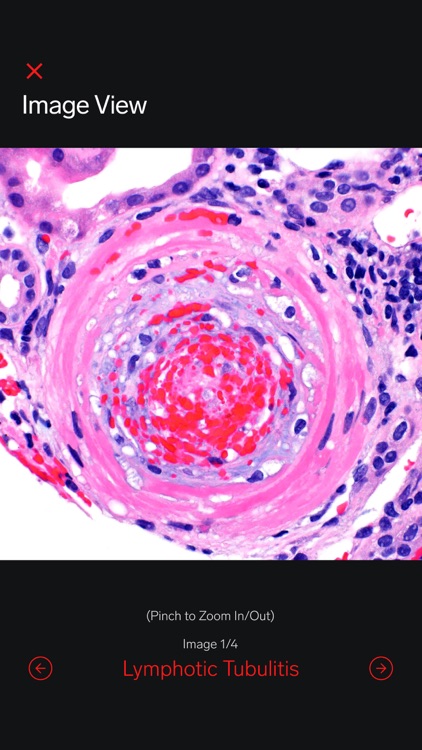 Arkana Connect screenshot-3