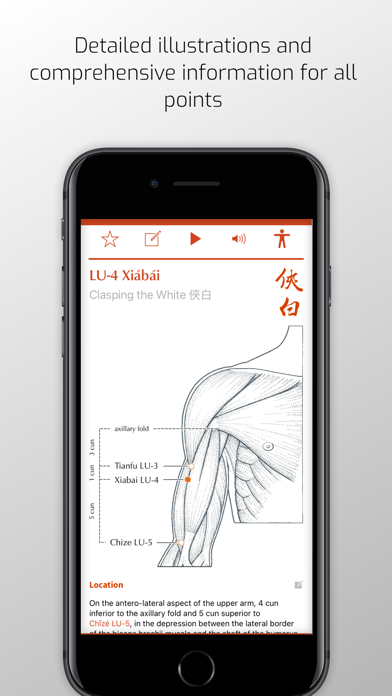 A Manual of Acupuncture Screenshot