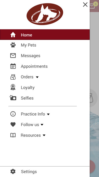 City Vet Hospital Screenshot