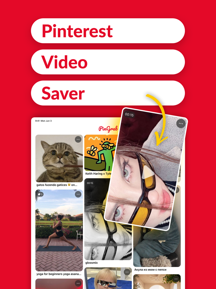 PinGrab Save and Organize