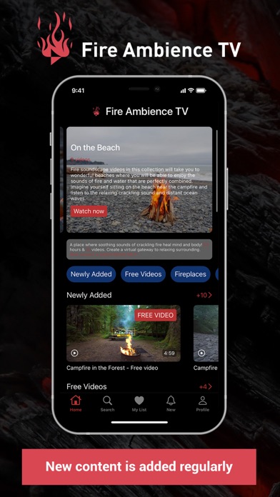 Fire Ambience TV Screenshot