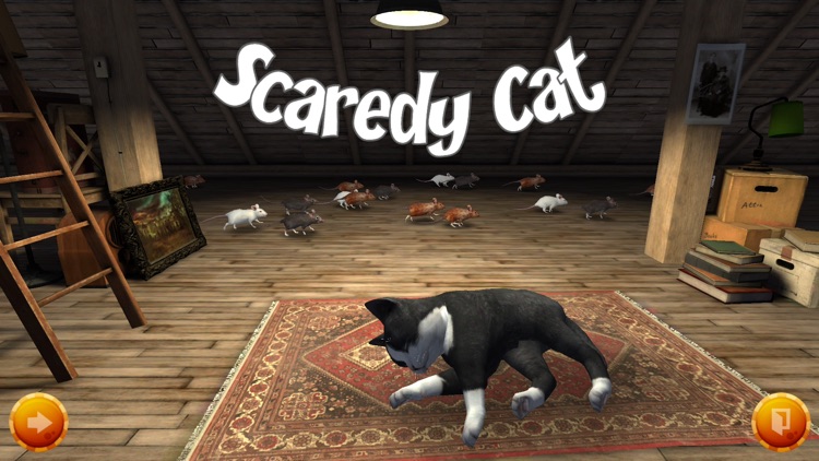 Scaredy Cat : Face Your Fears