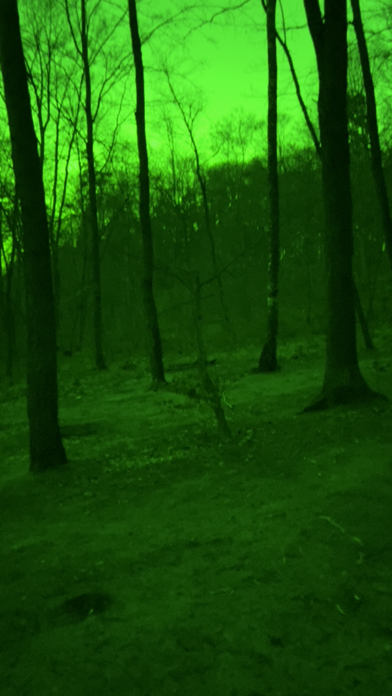 Green Night Screenshot