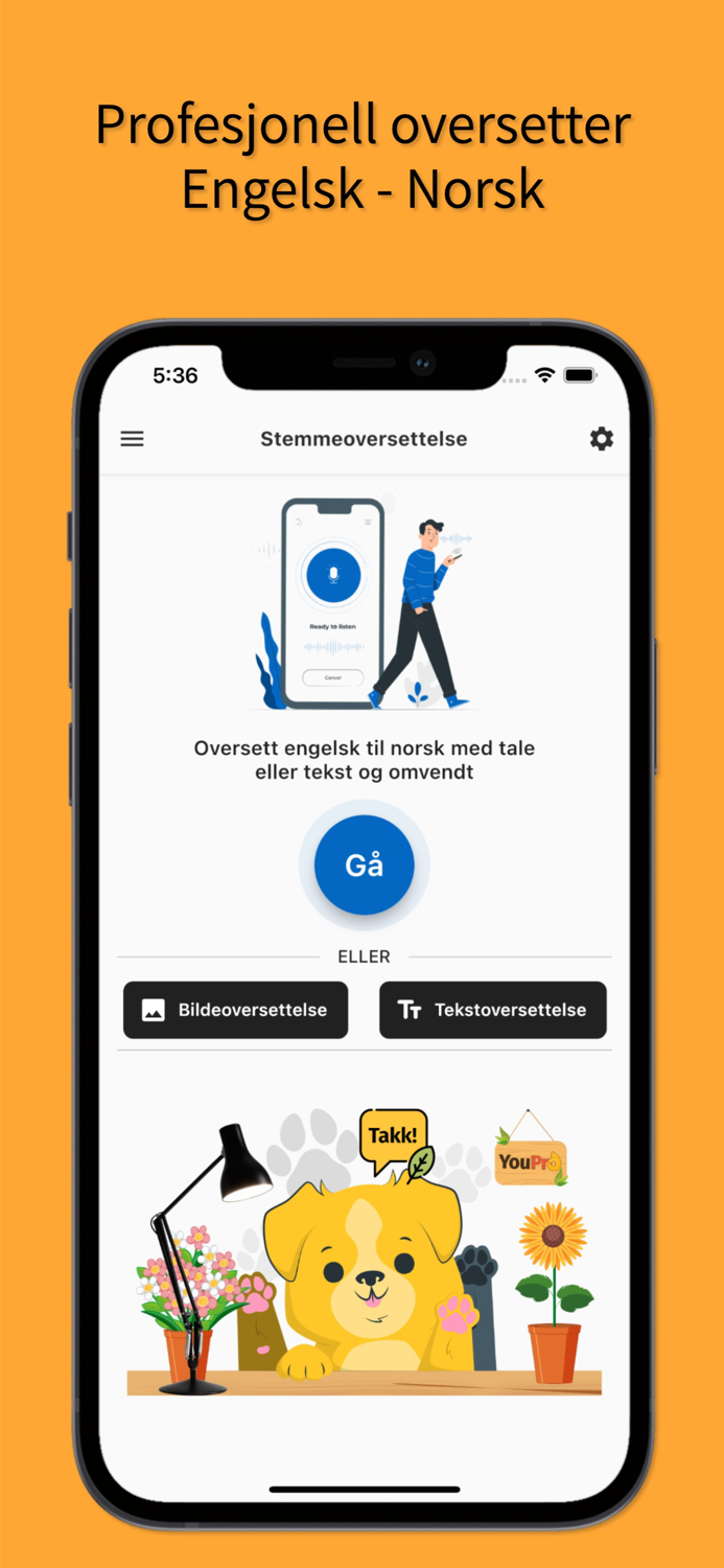 English Norwegian Translator