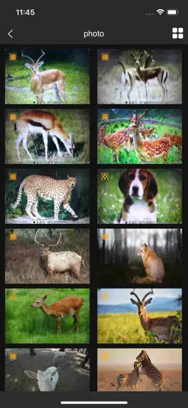 Game screenshot Trail Cam 4G apk