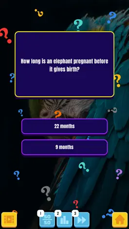 Game screenshot Animal Kingdom Quiz & Trivia hack