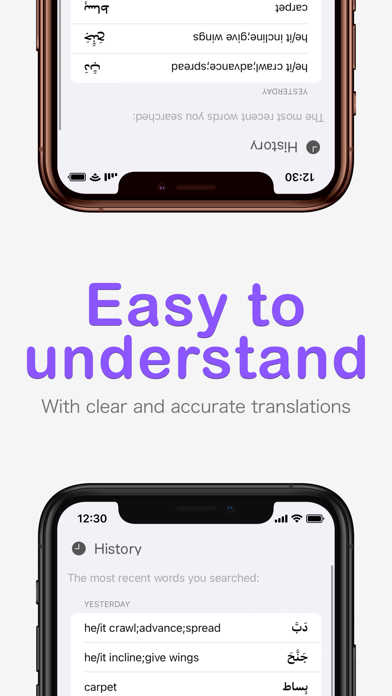 Qamoos Arabic Dictionary Screenshot