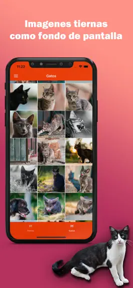 Game screenshot Imagenes Perros y Gatos apk