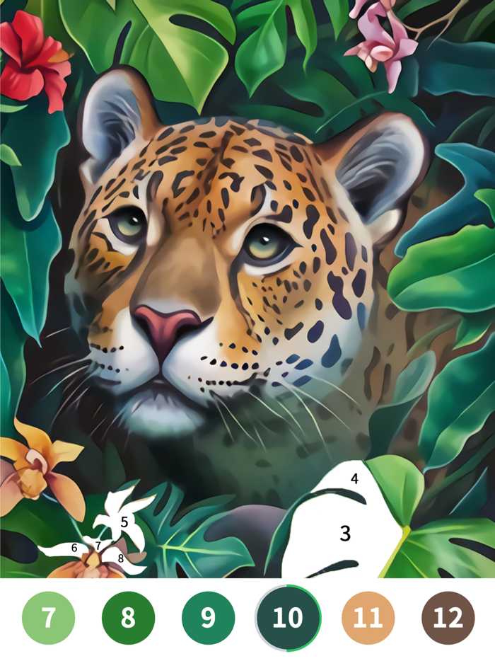 Color Painting-Color By Number