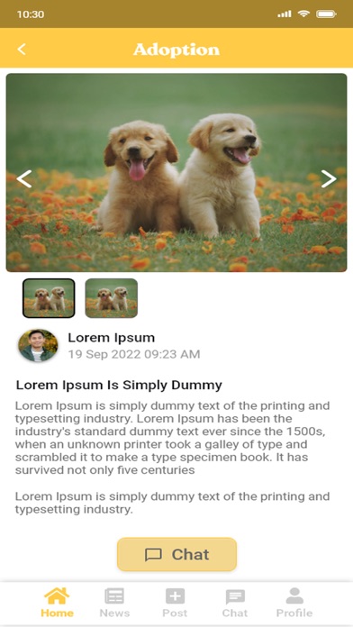 PetPal Sg Screenshot