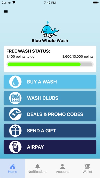 Blue Whale Wash