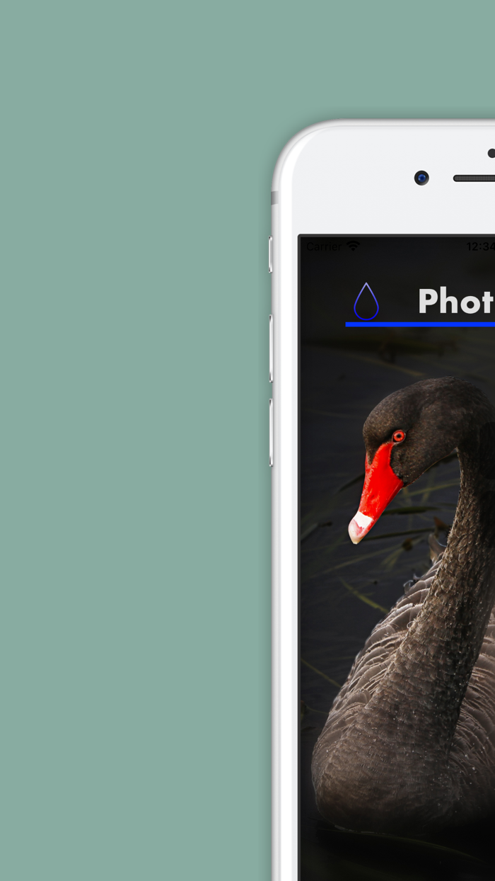Blur Photo Effect Editor