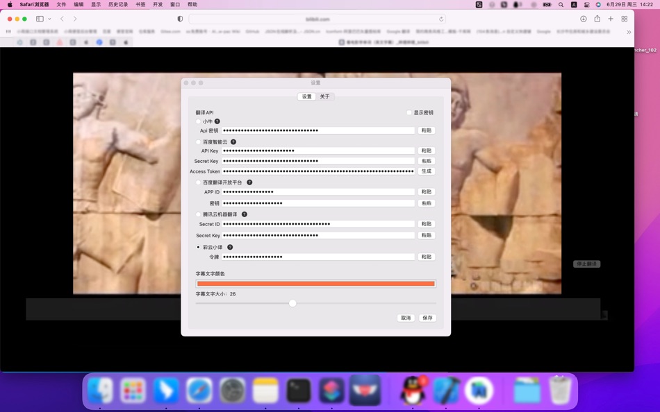#3. 字幕翻译 (macOS) 由: 卓 周