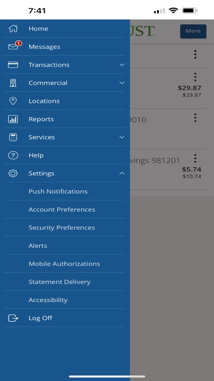 Lake Trust Business Banking screenshot-4