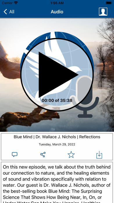 Edgar Cayce Reflections Screenshot