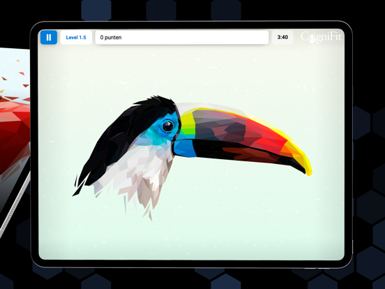 CogniFit Hersenfitness iPad app afbeelding 6