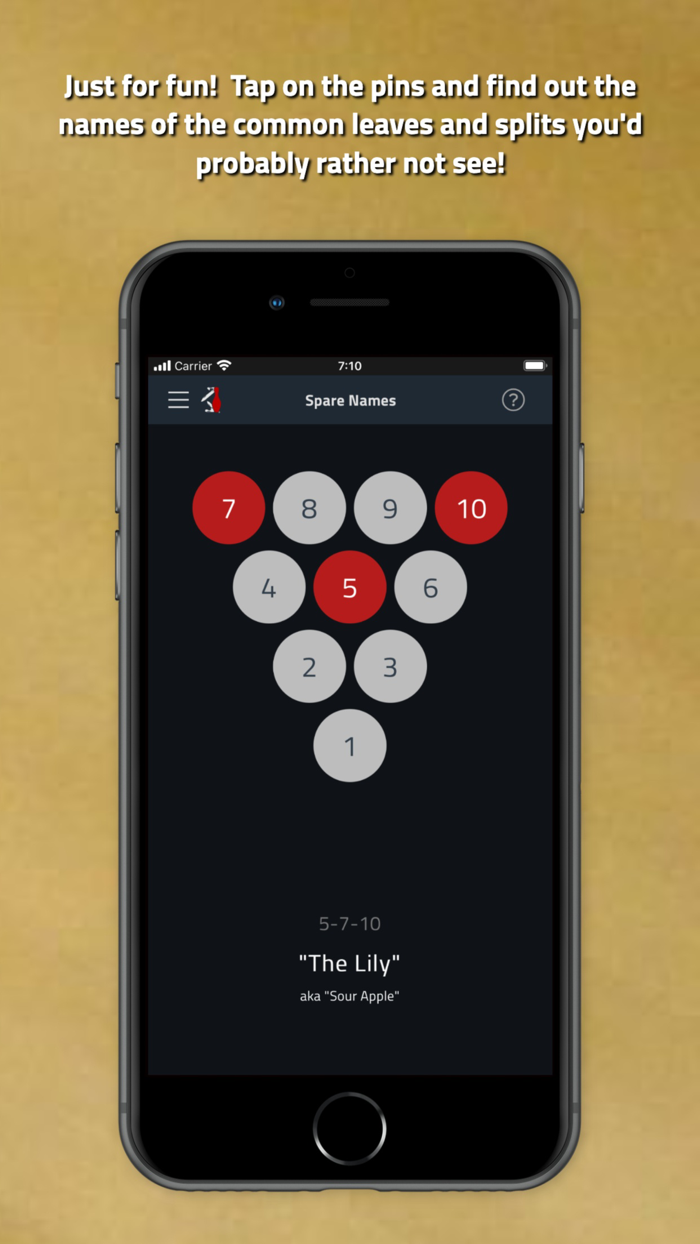 Tenpin Toolkit Bowling Tools