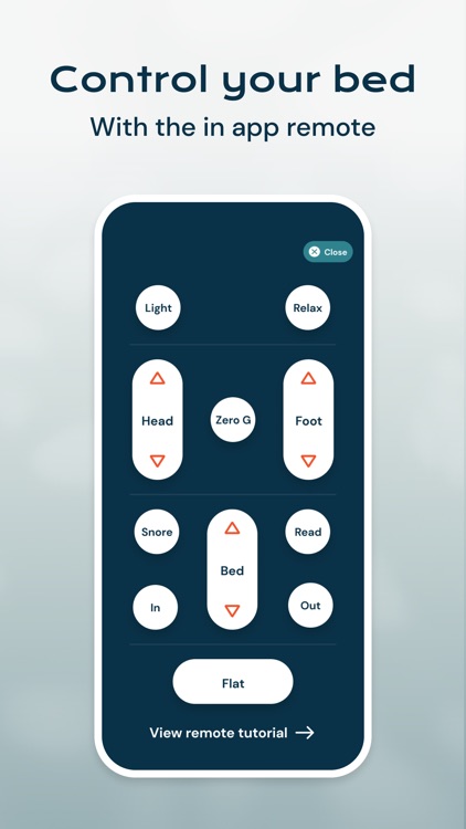 Dawn House screenshot-4
