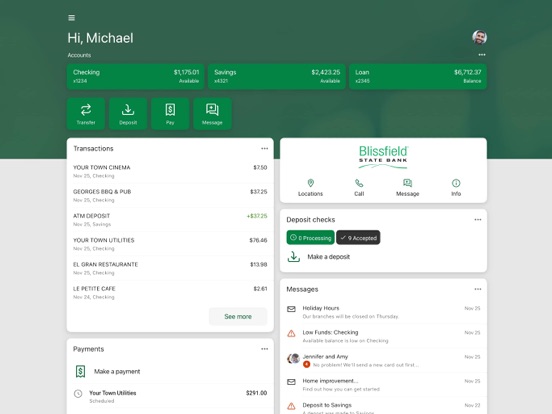 Blissnet Mobile iPad screenshot 1 - Finance app