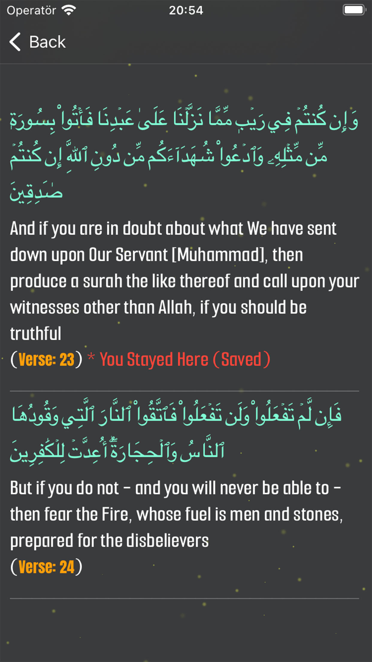 The Quran - Surahs and Verses