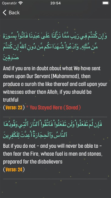 The Quran - Surahs and Verses Screenshot