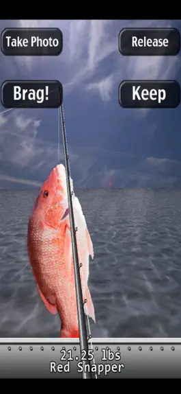 Game screenshot i Fishing Saltwater Edition apk