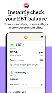 providers: ebt, mobile banking iphone screenshot 2