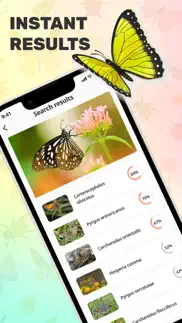 bug identifier app problems & solutions and troubleshooting guide - 4