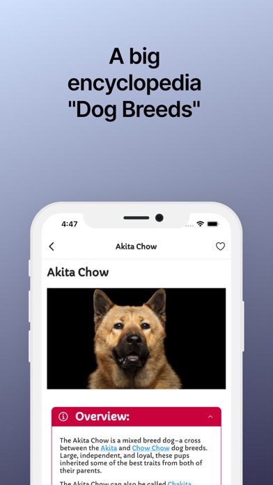 Dog Breeds: All Dog Identify Screenshot