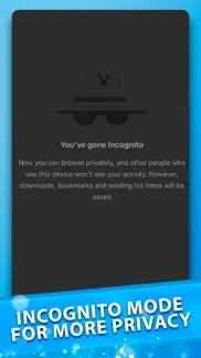 fast private internet browser iphone screenshot 2